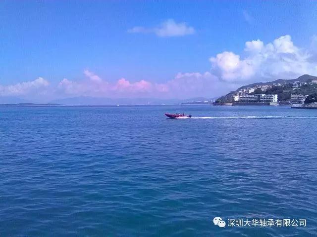 深圳大華軸承2017南澳拓展 深圳大華軸承2017南澳拓展